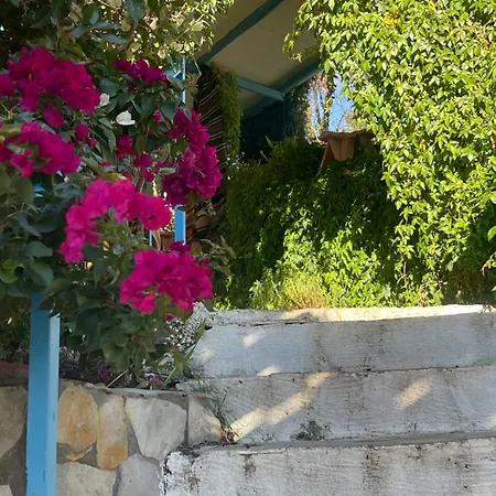 Casa de Férias Soeguet Erol Koey Evi Taslica