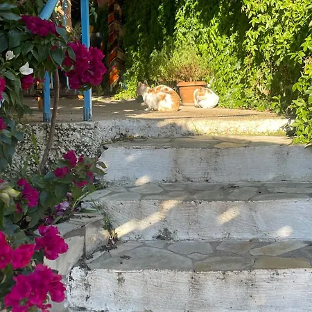 Soeguet Erol Koey Evi Casa de Férias *
