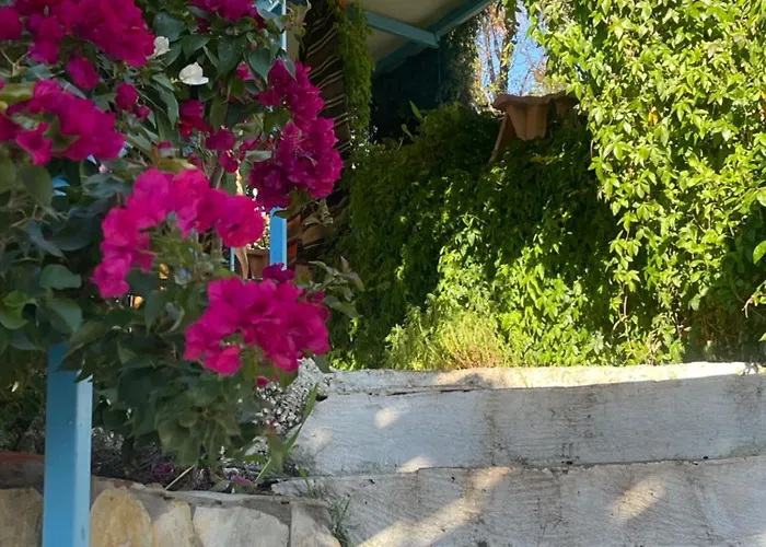 Casa de Férias Soeguet Erol Koey Evi Taslica