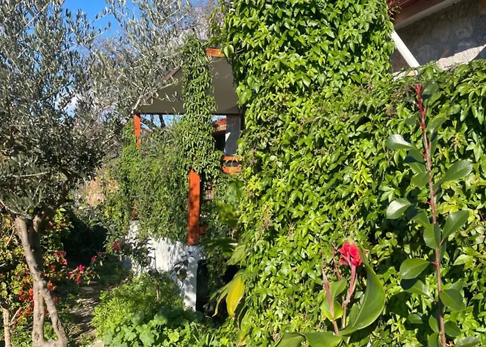 Soeguet Erol Koey Evi Casa de Férias Taslica