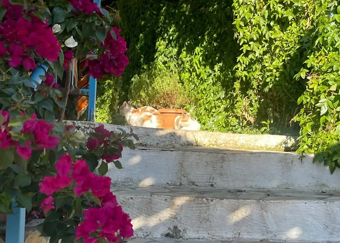 Soeguet Erol Koey Evi Casa de Férias