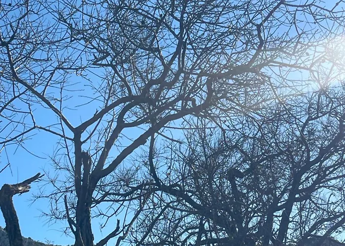 Soeguet Erol Koey Evi * Taslica