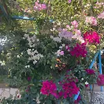 Soeguet Erol Koey Evi Holiday home