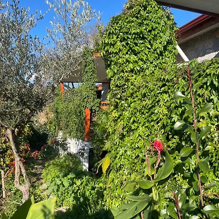 Soeguet Erol Koey Evi Holiday home Taslica