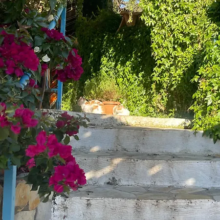 Soeguet Erol Koey Evi Holiday home