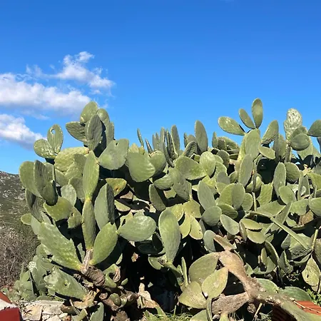 Soeguet Erol Koey Evi