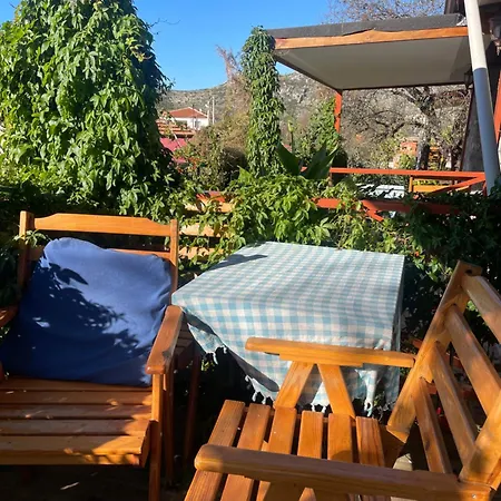 Soeguet Erol Koey Evi Taslica