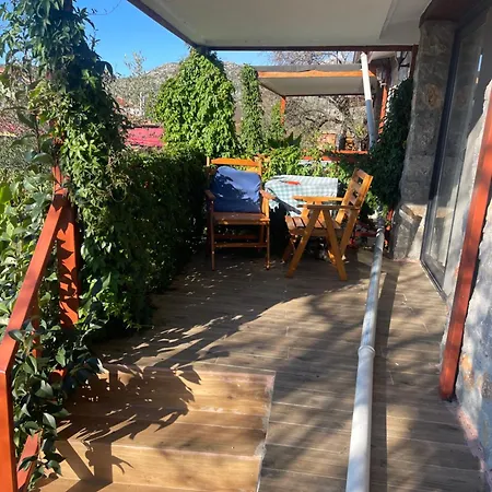 Soeguet Erol Koey Evi Holiday home Taslica