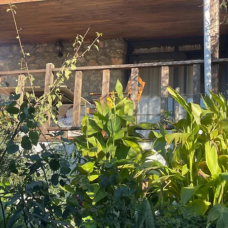 Soeguet Erol Koey Evi Holiday home *