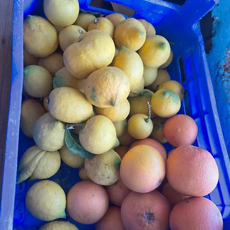 Soeguet Erol Koey Evi