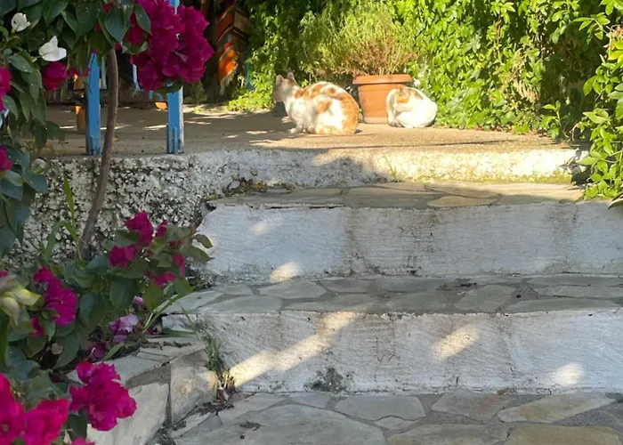 Soeguet Erol Koey Evi Casa vacanze *