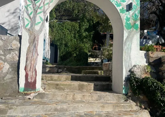 Soeguet Erol Koey Evi * Taslica