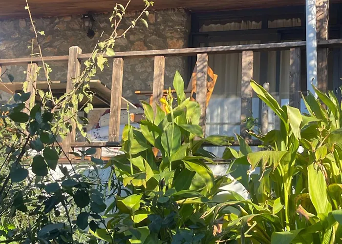 Soeguet Erol Koey Evi Ferienhaus *