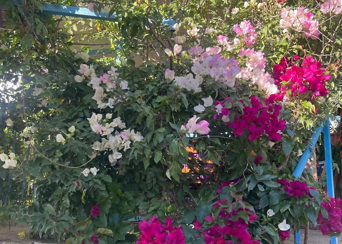 Soeguet Erol Koey Evi Casa vacanze