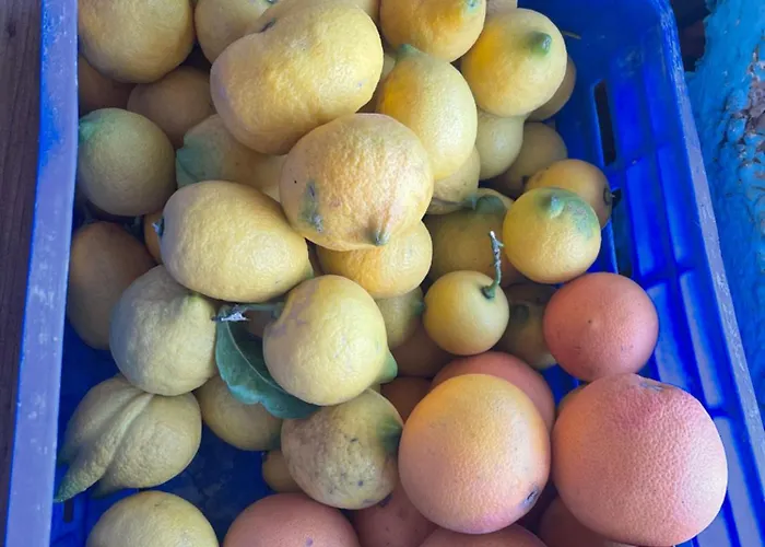 Soeguet Erol Koey Evi